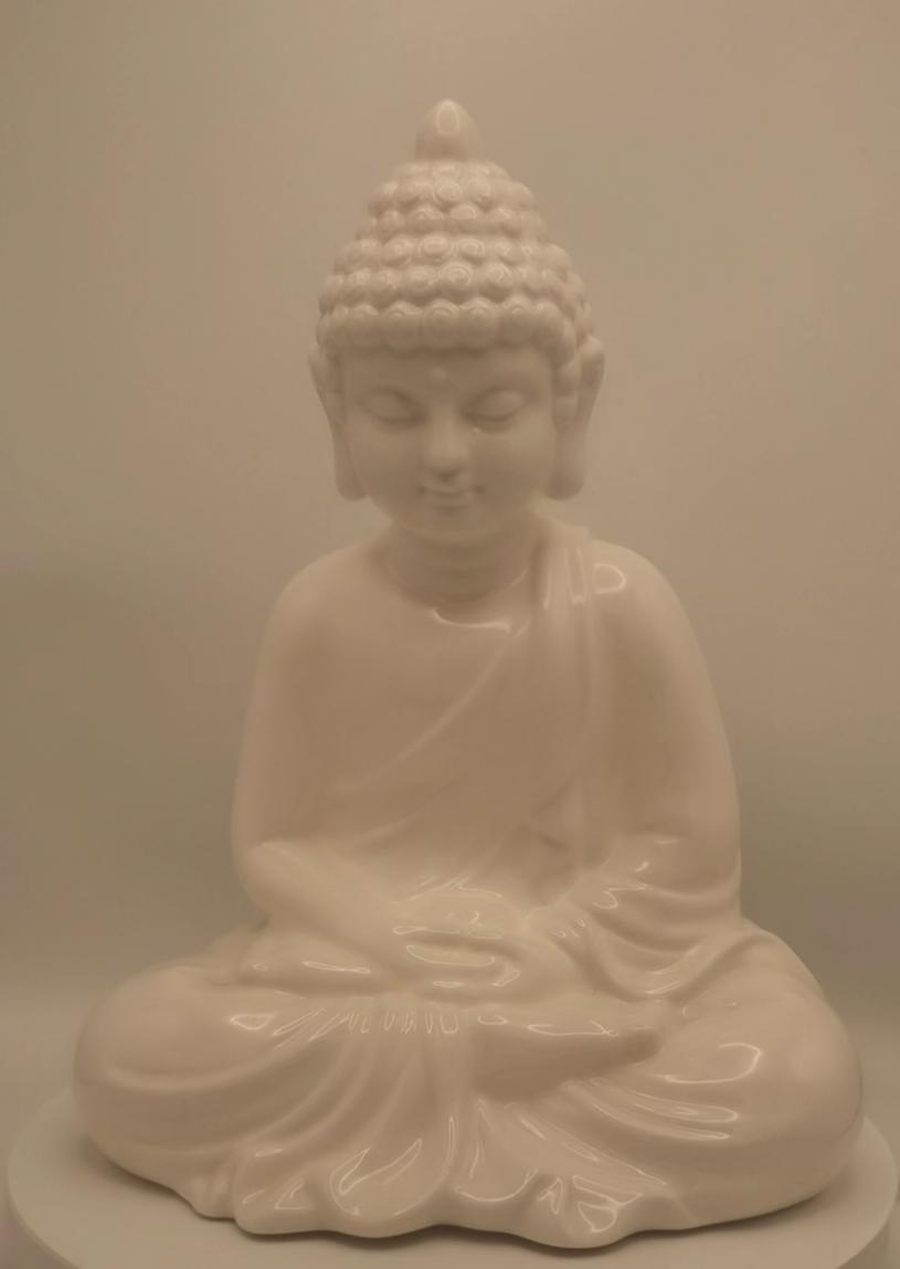 porcelana blanca china